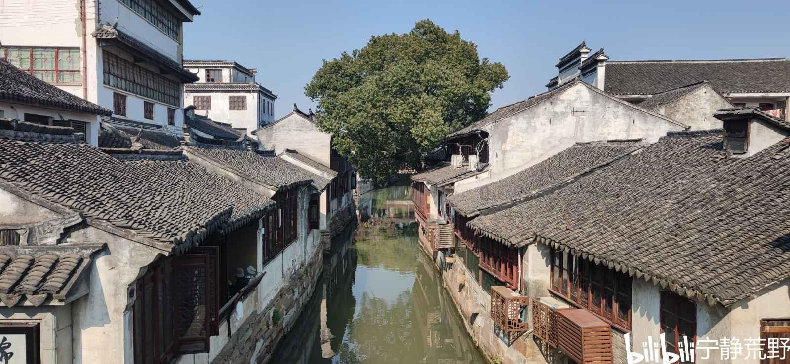 探索年味是什么?的魅力 - 红迪网平台